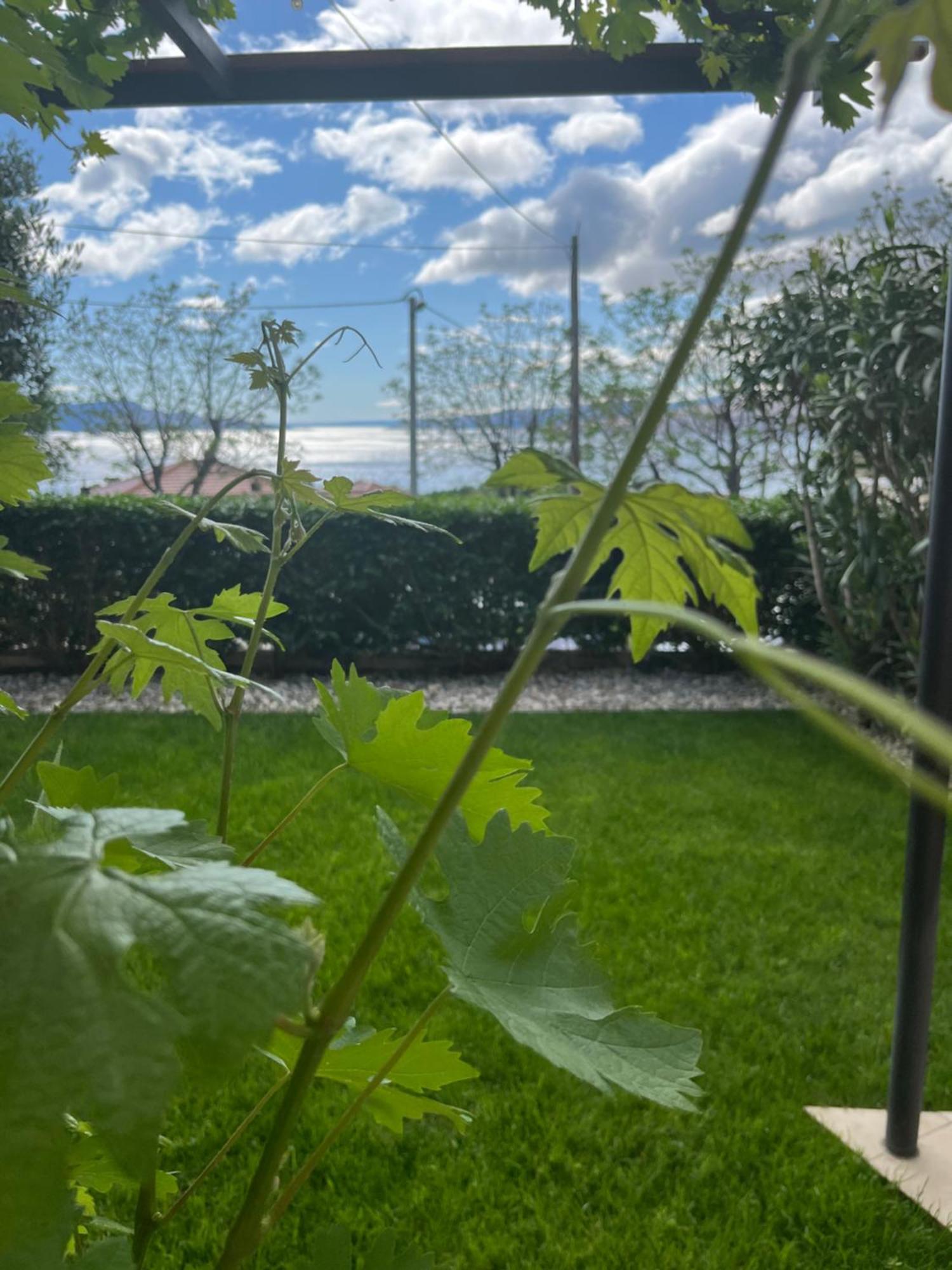 Apartman Mia Zengg Kültér fotó